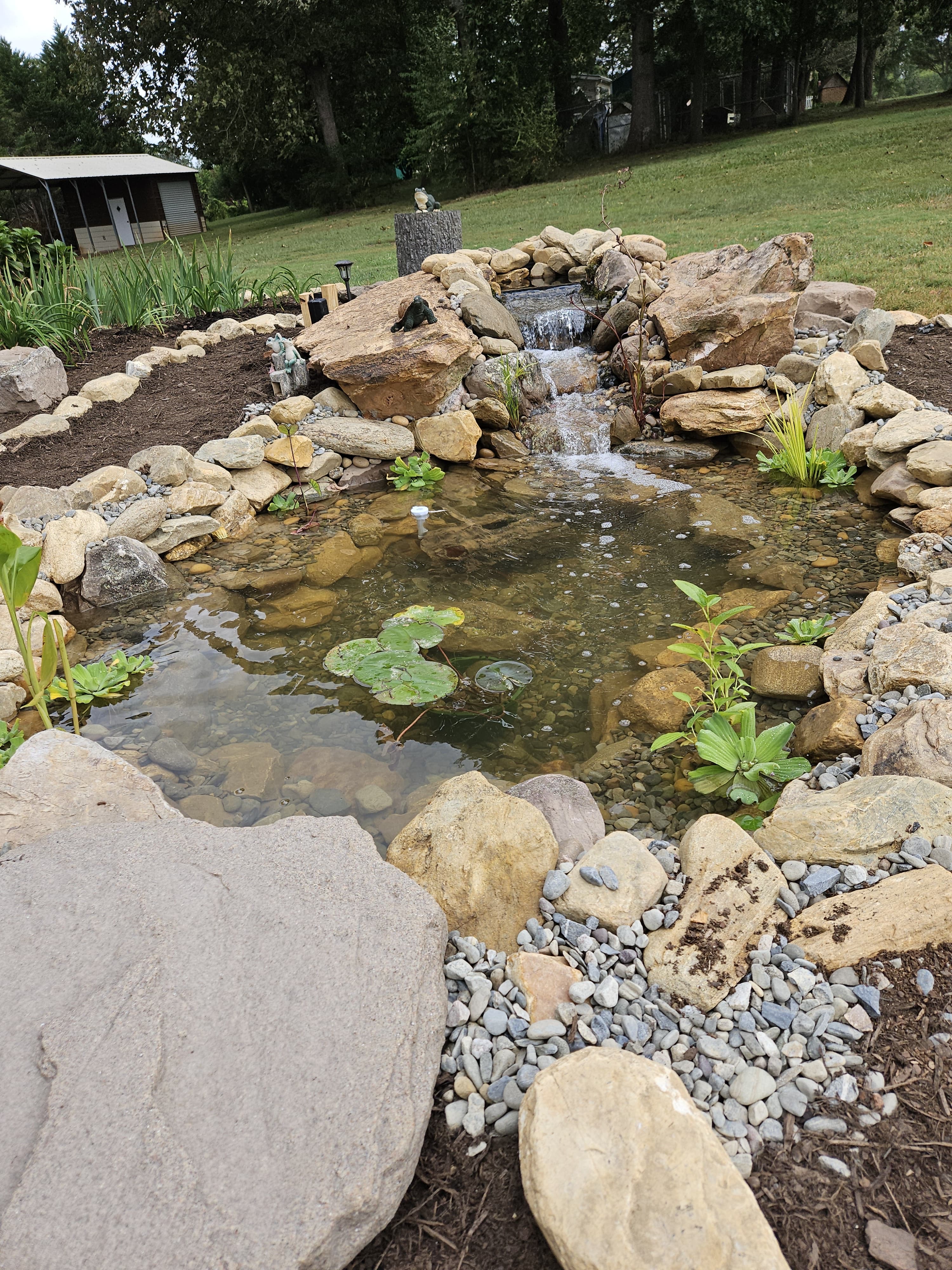 Daytime Koi Pond